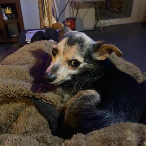 Meet your Posher, Rita